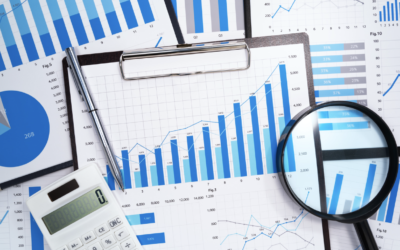Customizing Business Strategies Using Data-Driven Insights